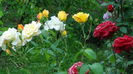 DSC01778