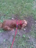 Image004