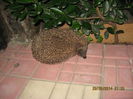 Picture 1904