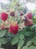 IMG_20140618_115745