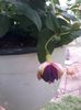 20140615_191339