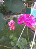 20140615_191517