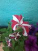 20140615_191614