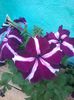 20140615_191655