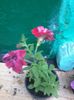 20140615_191703
