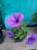 20140615_191706