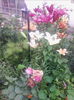 IMG_20140619_075125