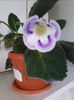 IMG_20140619_163058
