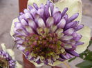 P1220584