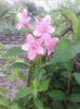 IMG_20140619_192931