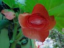 20140619_204053