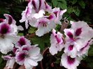 20140619_204121