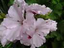 20140619_204138