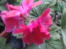 20140619_204155