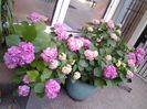 20140619_204308