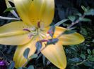 20140619_204605