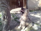 IMG_20140615_090007