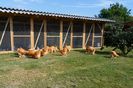 SAM_0949