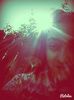 IMG_20140524_144322