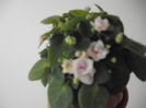 DSCF1326