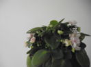DSCF1327