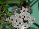 DSCN8512