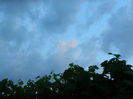 DSCN8522