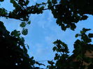 DSCN8568
