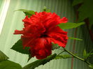 DSCN8573