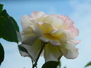 DSCN8589