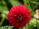 DSCN8590