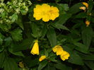 DSCN8599
