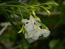 DSCN8693