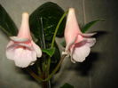 DSC09638