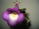 DSC09616