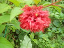 DSCN8169