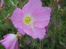 DSCN8171