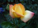 DSC09975