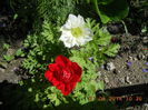 DSCN3164