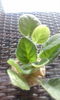 IMG-20140620-WA0020
