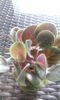 IMG-20140620-WA0022
