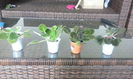 IMG-20140620-WA0030