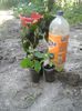 IMG-20140612-WA0024