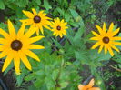DSCN8176