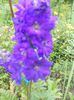 DSCN8177