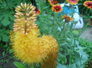 DSCN8178