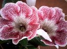 IMG_20140621_155559
