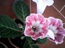 IMG_20140621_155529