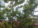08052014824