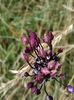 IMG_20140622_094342